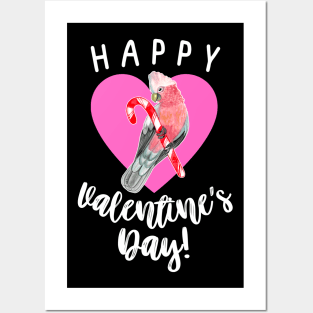 Happy Valentine's Day Galah Cockatoo Candy Cane Posters and Art